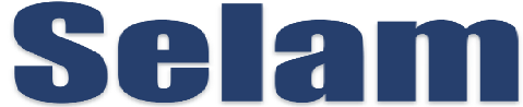 Selam International Academy